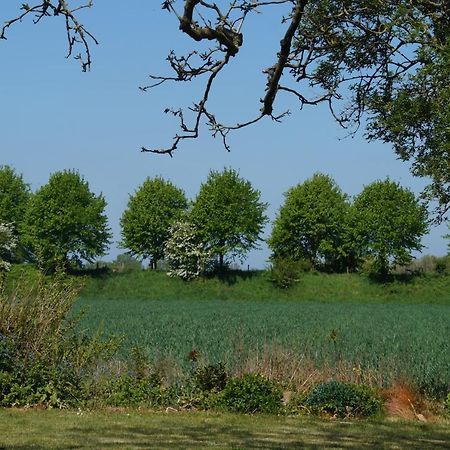 Vakantiewoning Het Olietunnetje Ovezande Exterior foto